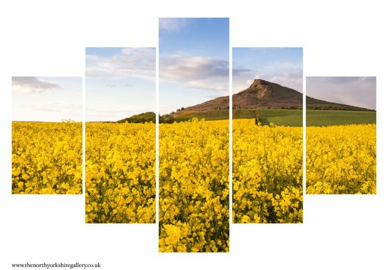 Fields Below Roseberry Topping 5PCS Wall Art