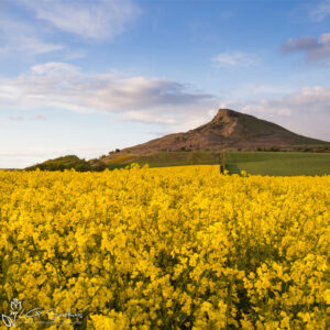 Fields Below Roseberry Topping Photo Slate