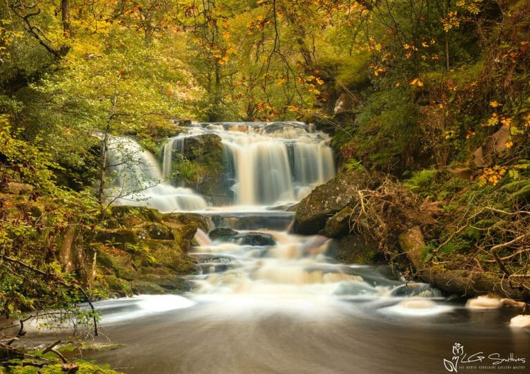 Goathland In The Autumn At Water Arc Foss