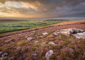Greater Fryup Dale From The Moors