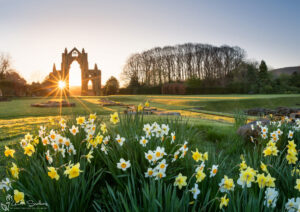 Guisborough Priory Spring Sunrise