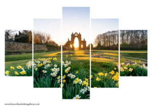 Guisborough Daffodils 5PCS Wall Art