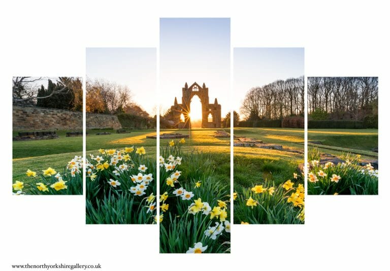 Guisborough Daffodils 5PCS Wall Art