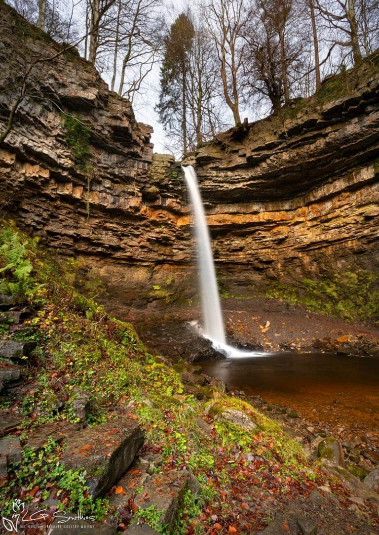 Hardraw Force Portrait