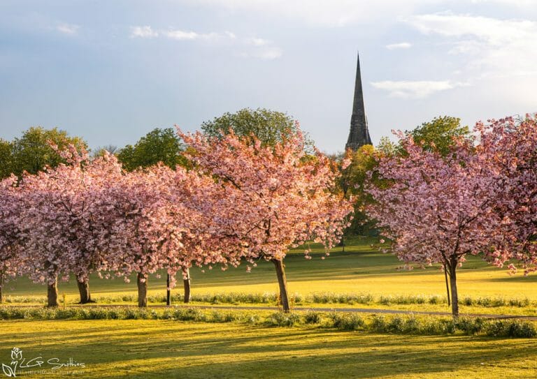 Harrogate