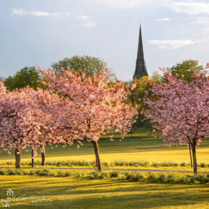 Harrogate Photo Slate