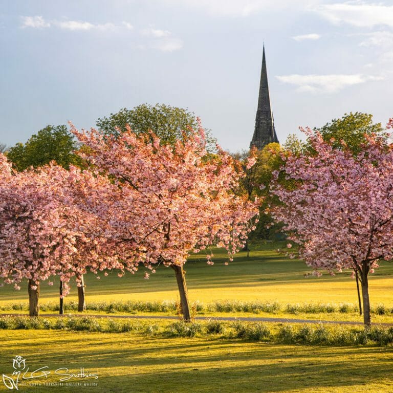 Harrogate Photo Slate