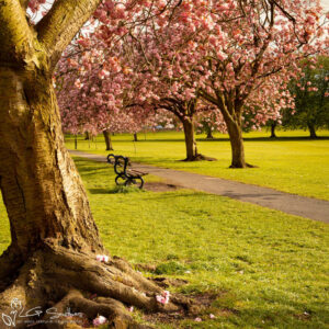 Harrogate Yorkshire Photo Slate