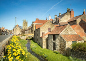 Helmsley Daffodils 2017