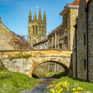 Helmsley Daffodils Under The Bridge Photo Slate