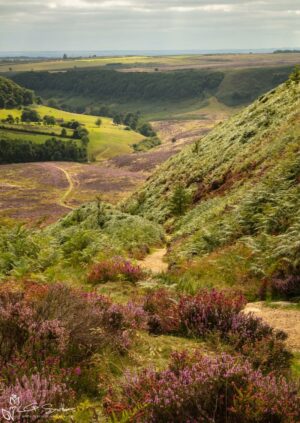 Hole Of Horcum