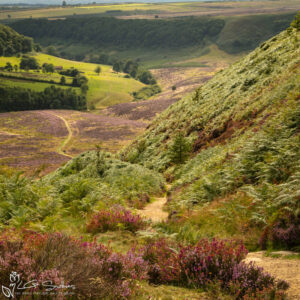 Hole Of Horcum Photo Slate