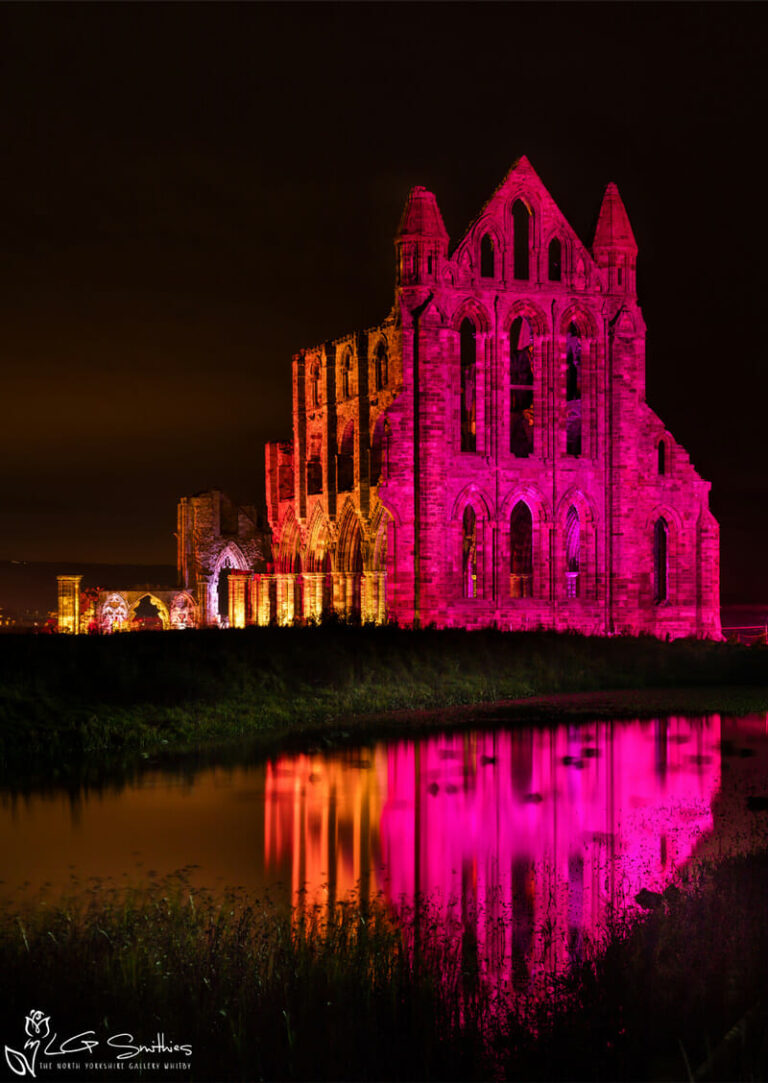 Illuminated Abbey