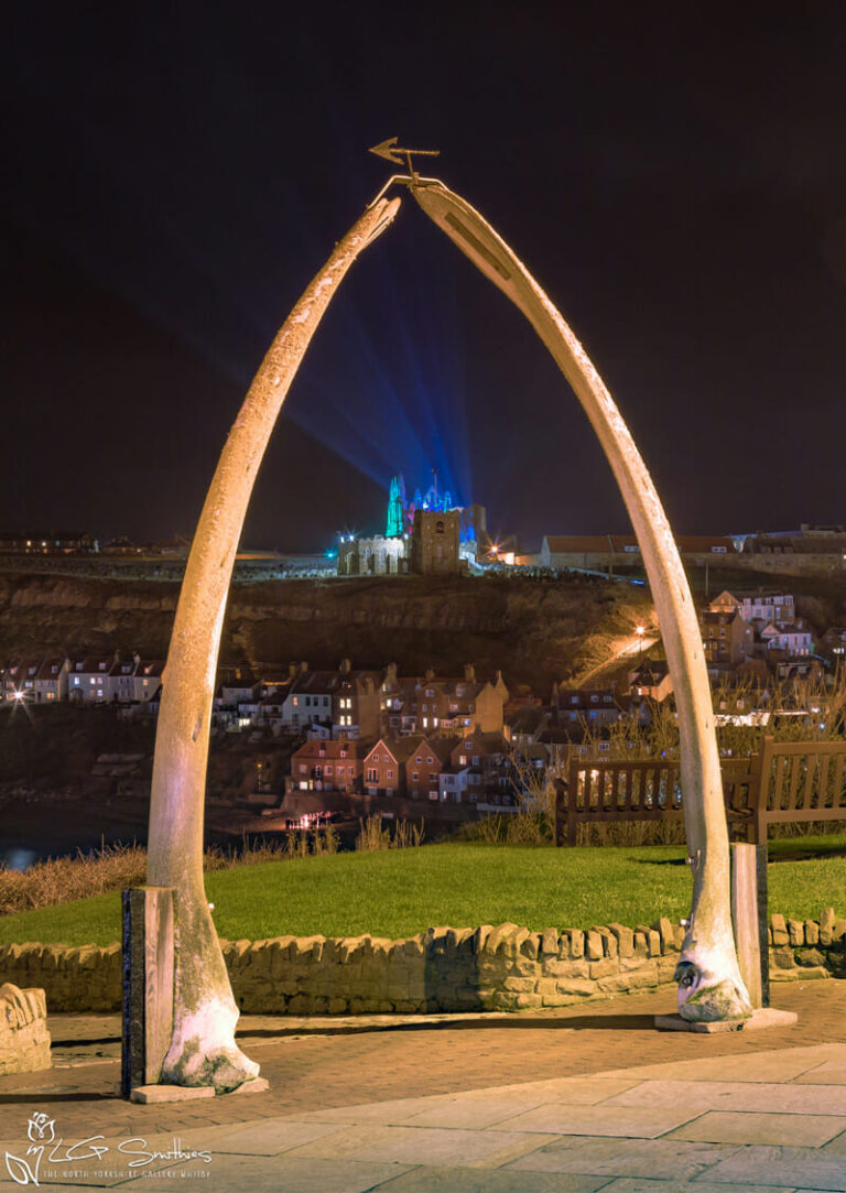 Illuminated Abbey Through The Whalebones