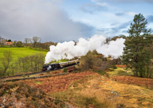 Late Autumn At Darnholme