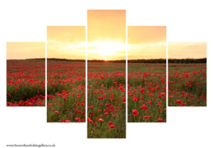 Loftus Poppies 5PCS Wall Art