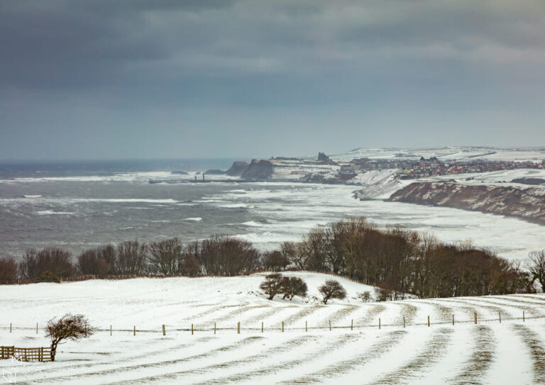 Lythe And Whitby In The Snow