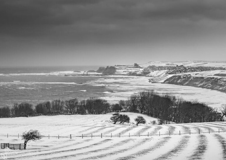 Lythe And Whitby In The Snow Black And White