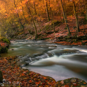 Maybeck At Autumn Photo Slate