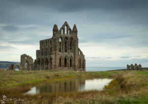 Moody Whitby Abbey