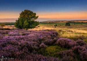 Moorsholm From The Moor