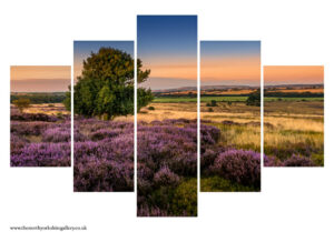 Moorsholm From The Moor 5PCS Wall Art