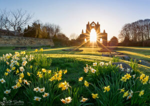 Morning At Guisborough Priory