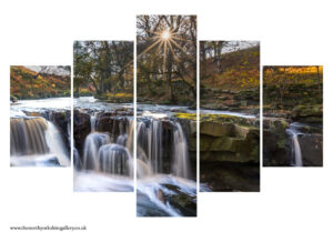 Nelly Ayre Foss 5PCS Wall Art