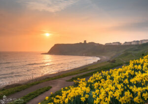 North Bay Spring