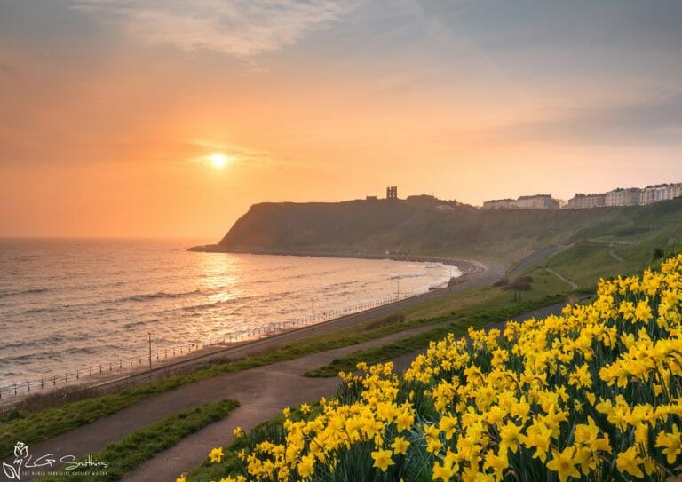 North Bay Spring