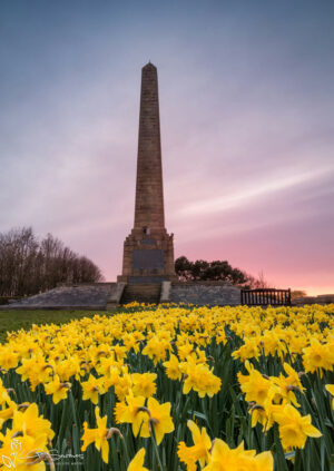 Oliver's Mount