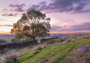 Pleasant Evening At Danby