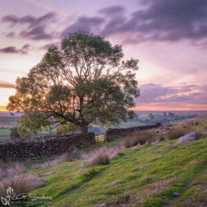 Pleasant Evening At Danby Photo Slate