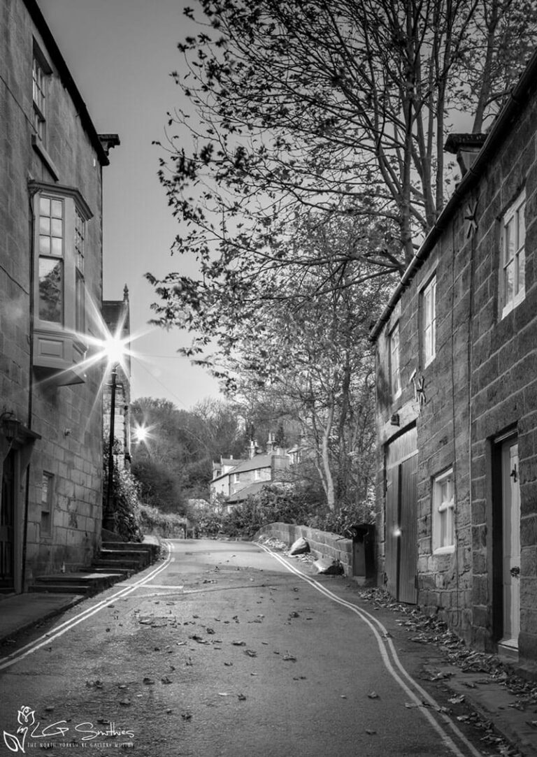 Robin Hood's Bay Black and White