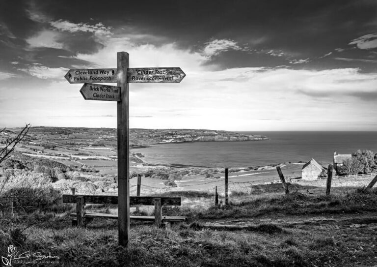 Robin Hood's Bay View