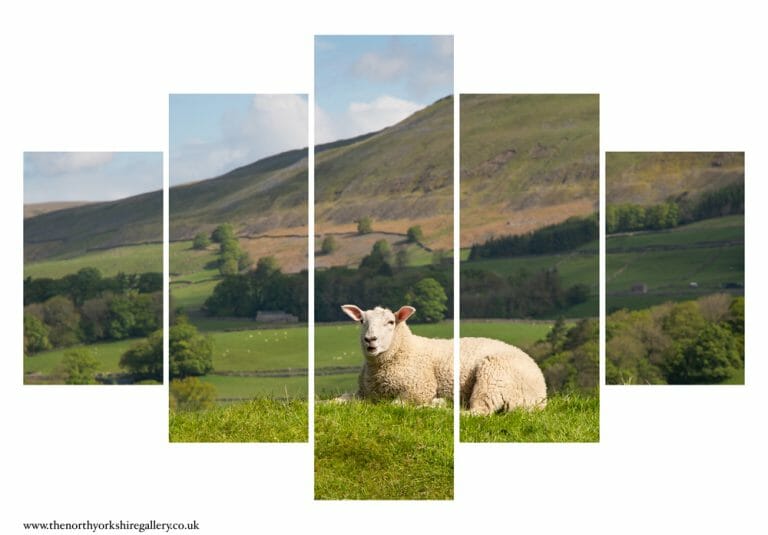 Relaxing In The Dales 5PCS Wall Art