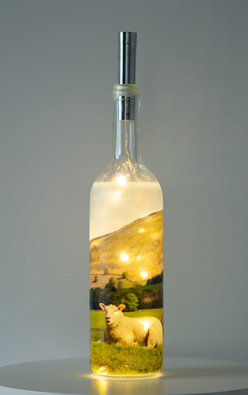 Relaxing In The Dales Light Up Bottle Relaxing In The Dales Light Up Bottle