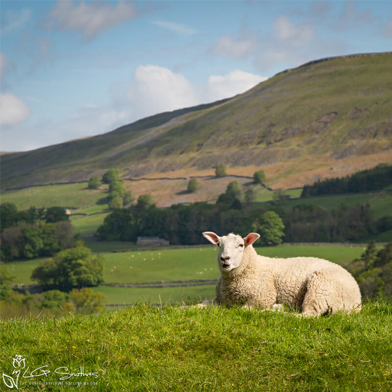 Relaxing In The Dales Photo Slate 1 Relaxing In The Dales Photo Slate