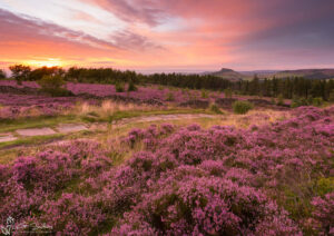 Roseberry And The Cleveland Way