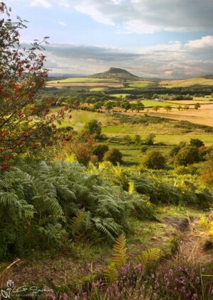 Roseberry From Gribdale