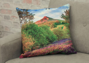 Roseberry Topping Bluebells Double Sided Velvet Cushion