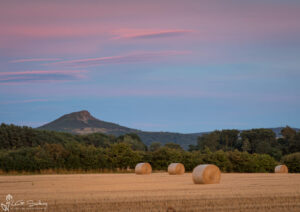 Roseberry Topping From The Fields Of Nunthorpe