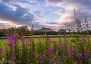 Roseberry Topping Great Ayton