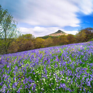 Roseberry Topping Long Exposure Photo Slate