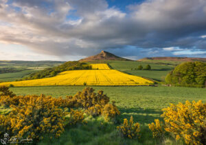 Roseberry Topping North Yorkshire