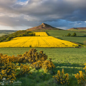 Roseberry Topping North Yorkshire Photo Slate