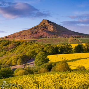 Roseberry Topping Oilseed and Bluebells Photo Slate