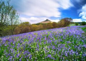 Roseberry Topping Passing Time