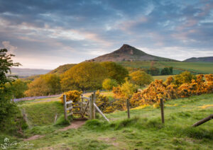Roseberry Topping Spring
