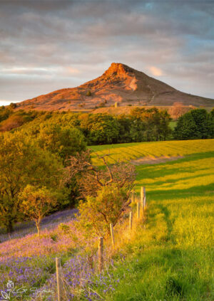 Roseberry Topping From Cliff Ridge Hill